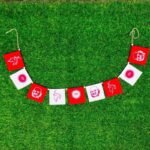 Neeb Karori/Neem Karori Babaji Car Flag