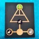 Bagh Bakri - Traditional Board Game - Image 2