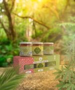 HEMP SEED SALT- COMBO BOX - Image 2