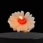 Daisy Flower Floating Candles -Scented - Image 3