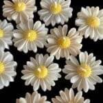 Daisy Flower Floating Candles -Scented