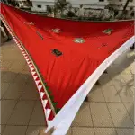 Nisaan (निसाण) Set - Secred Flags - Image 4