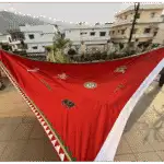 Nisaan (निसाण) Set - Secred Flags - Image 5